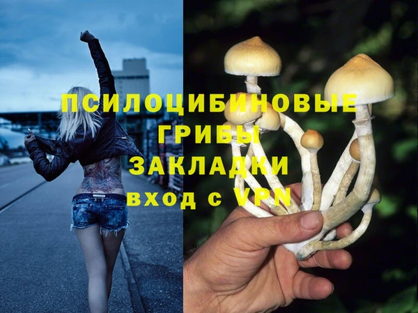 гидра Баксан