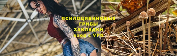 гидра Баксан