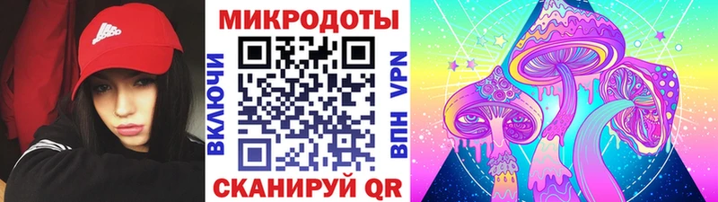Псилоцибиновые грибы Psilocybe Севск