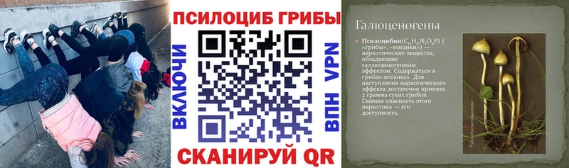 Галлюциногенные грибы прущие грибы Севск